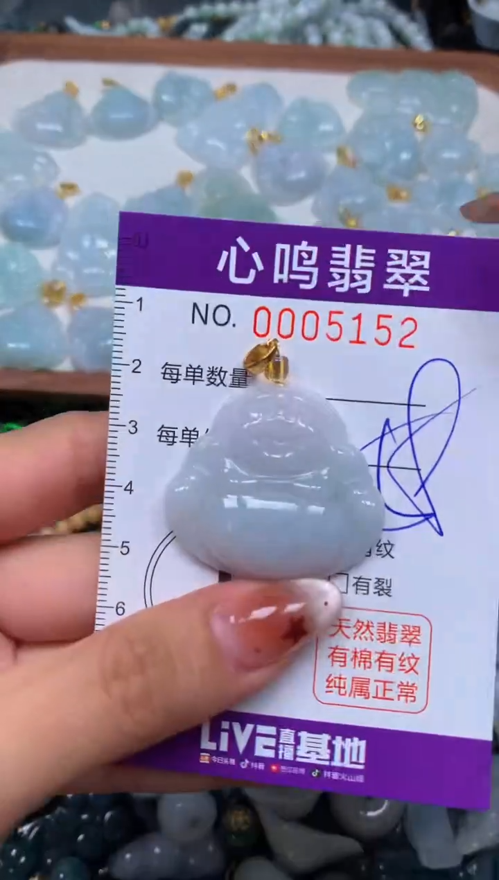 翡翠未镶嵌颈饰闪购005152