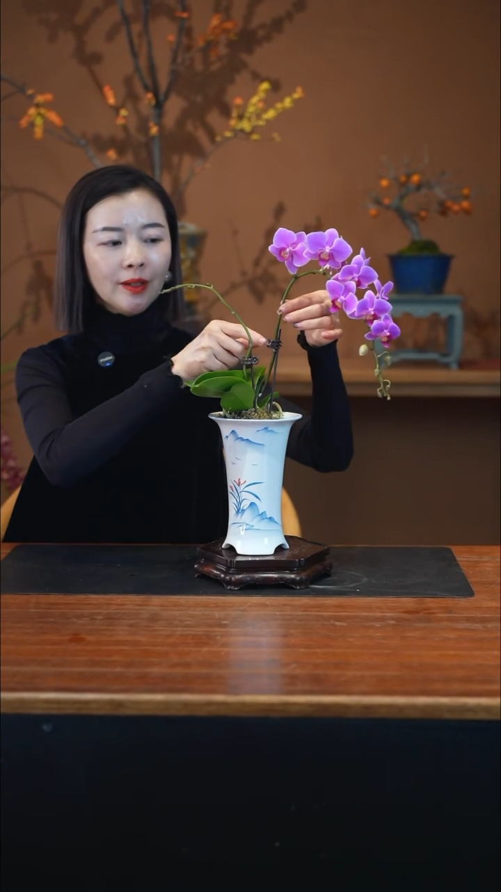 全部花朵粉珠帘青花盆景盆景盆景