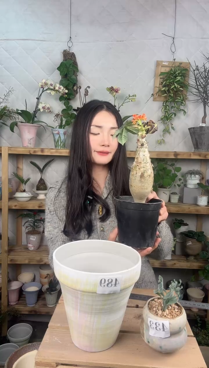 无花朵编号  489 景德镇手工花盆