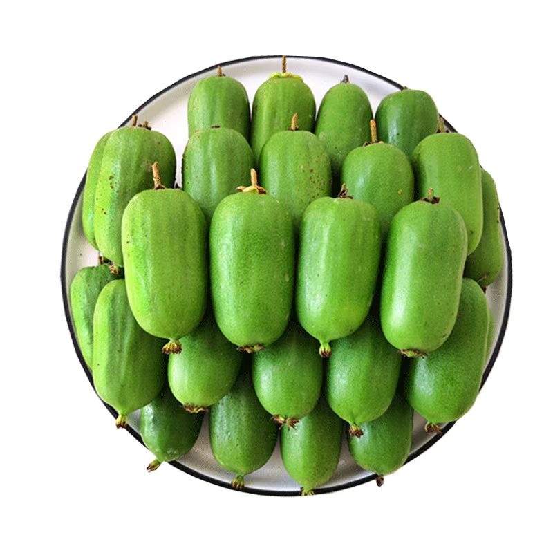 软枣猕猴桃丹东特产软糯香甜冷链发货特大果中果奇异果