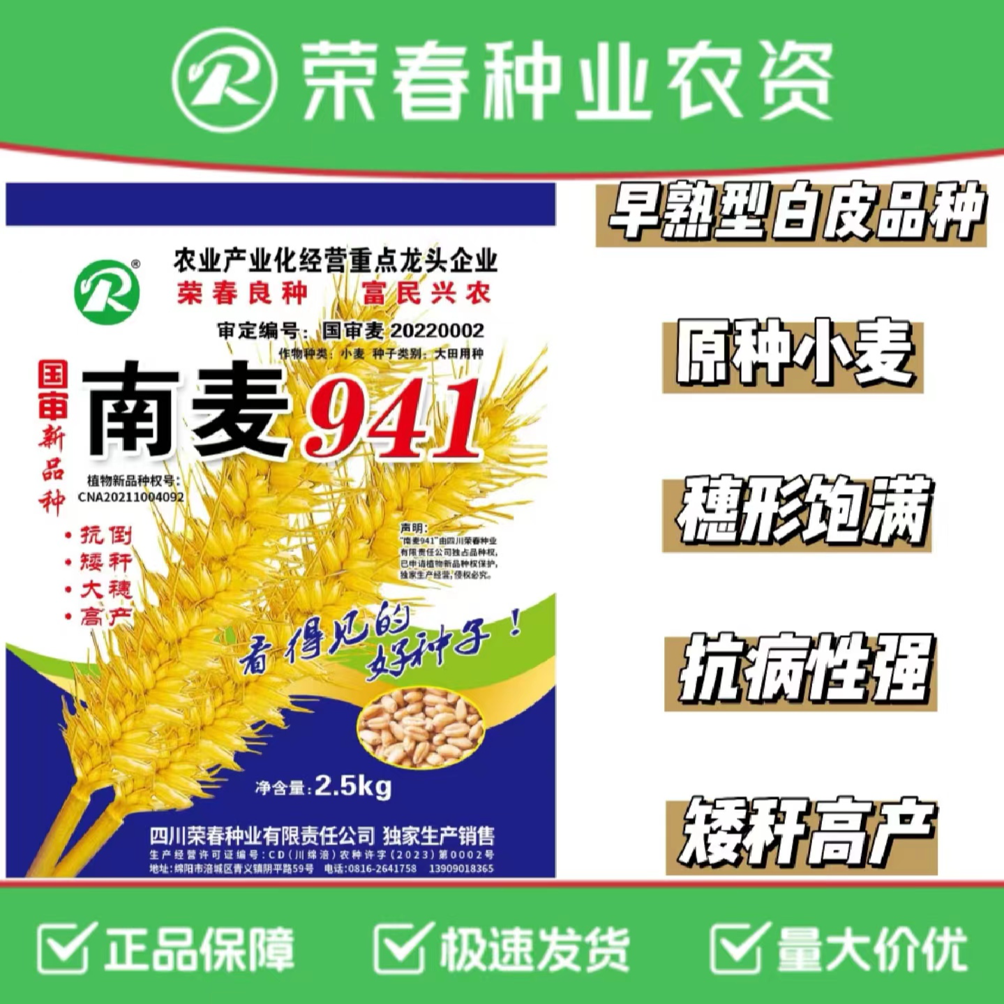 国审原种白皮小麦南麦941品质优质高产抗病矮秆抗倒大穗抗病性强
