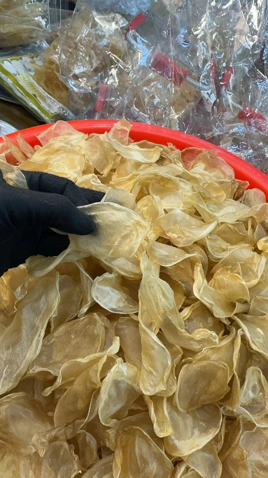 广东海善海小白花头1-500g