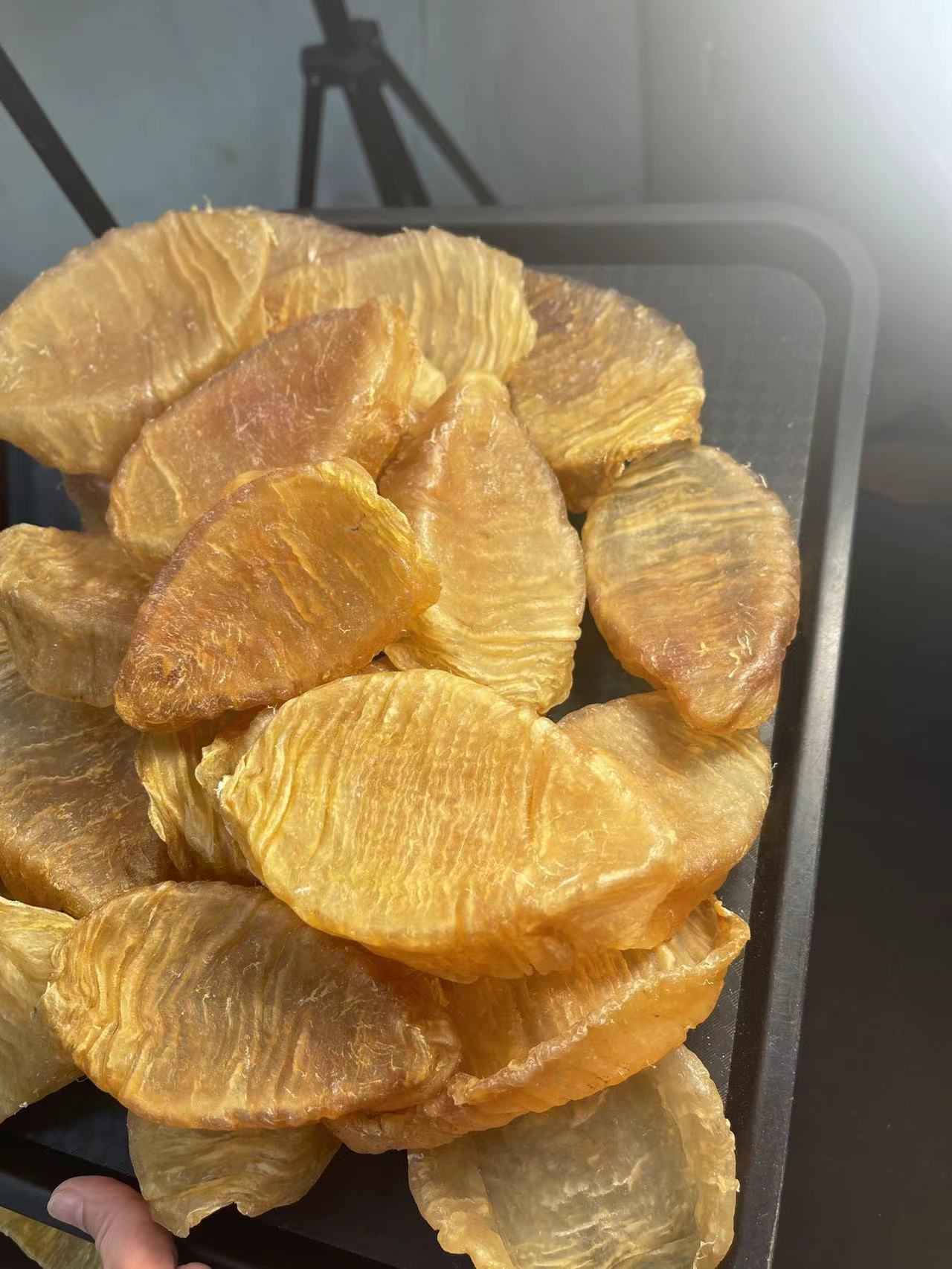 广东老斗湖鱼胶1-500g