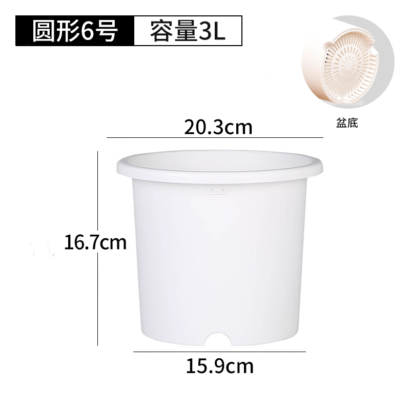 【拍1发5】爱丽思花盆6号白色百搭盆月季球根草花加仑盆爱丽丝花盆