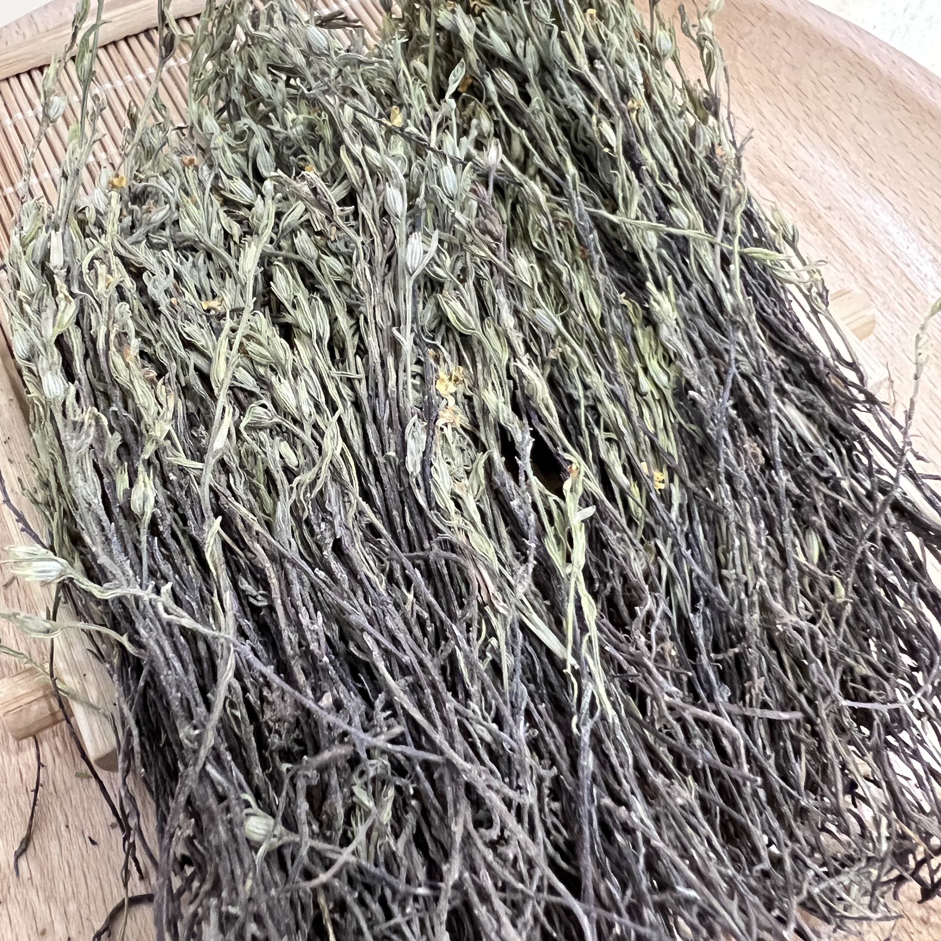 独脚金 小孩草 精选好货