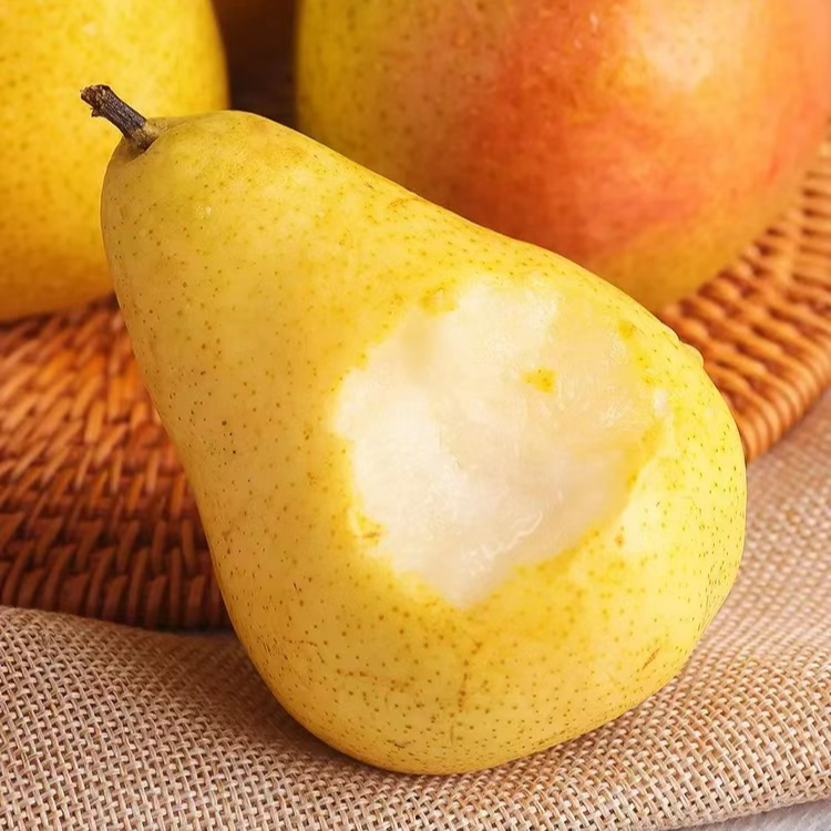 甘小胖甘肃高山香蕉梨太婆梨巴梨时令水果 