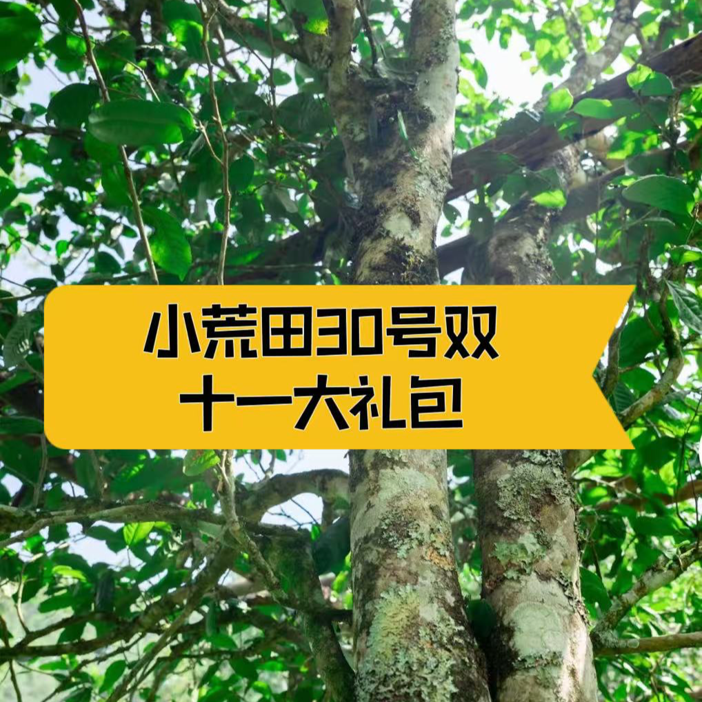 小荒田三十号双11心动大礼包