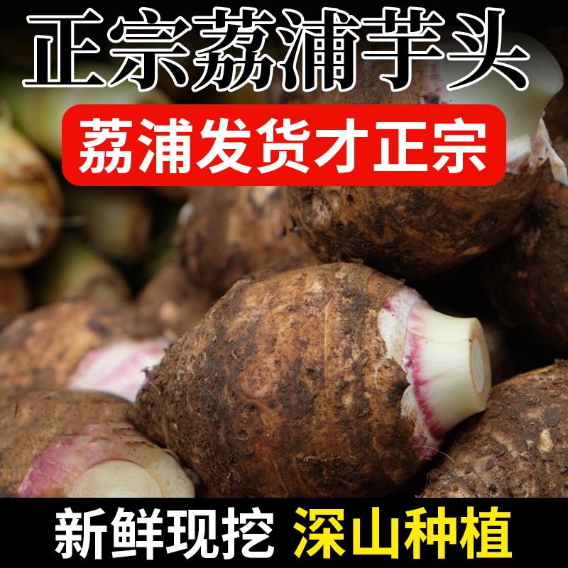 【荔浦发货】现挖现发荔浦大芋头正宗荔浦紫藤槟榔芋粉糯香芋贡芋