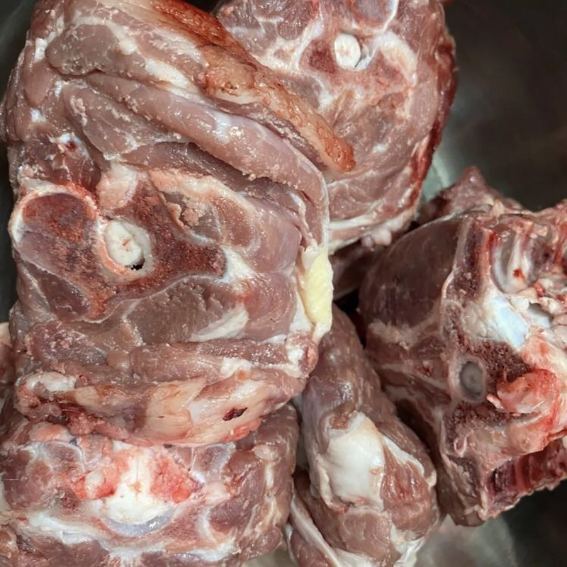 内蒙羔羊 带肉羊蝎子 一根10斤左右