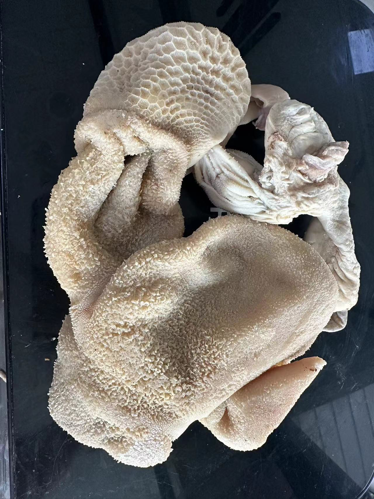 熟羊肚 新鲜山羊肚 没有科技狠活的 原干山羊肚 拒绝冻品 正宗