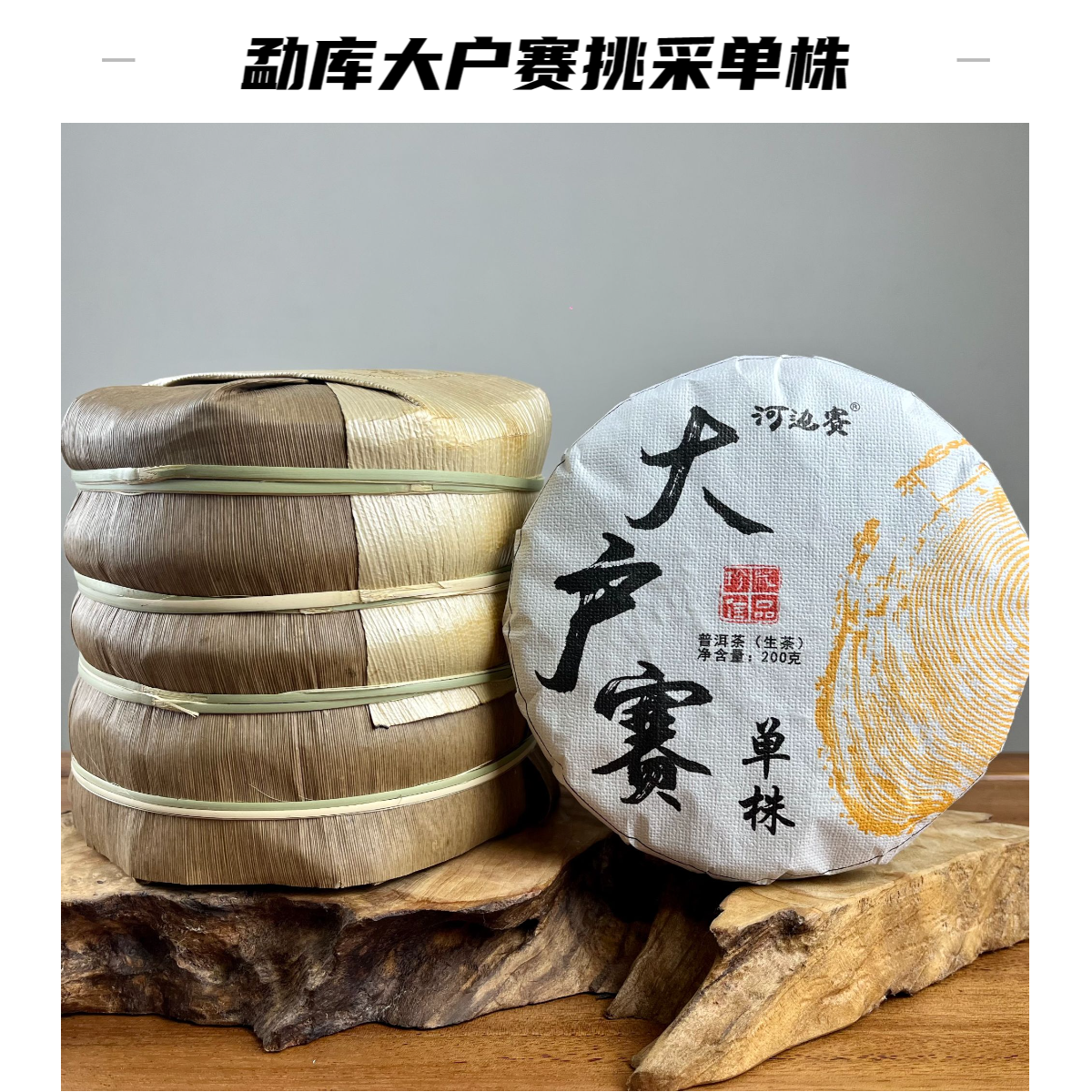 【大户赛单株春茶】120号茶农直销2024年云南普洱生茶饼200克带试喝