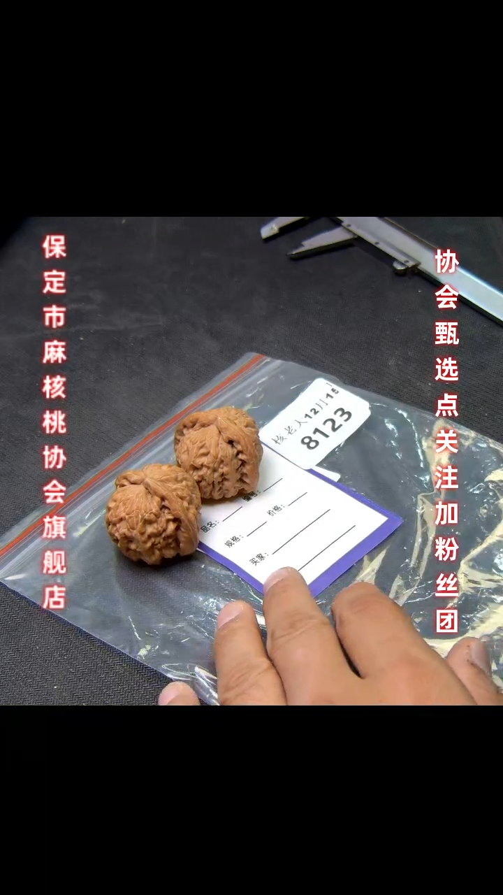 【闪购商品】文玩核桃把件38.5粗筋白狮子8123