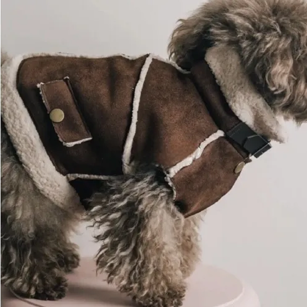特价宠物泰迪比熊博美雪纳瑞贵宾约克夏小型犬猫咪幼犬奶狗狗衣