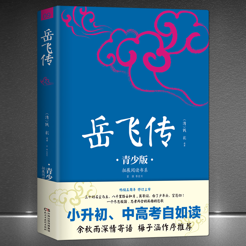《岳飞传》注释插图青少版小升初中考配套阅读 经典历史英雄故事H