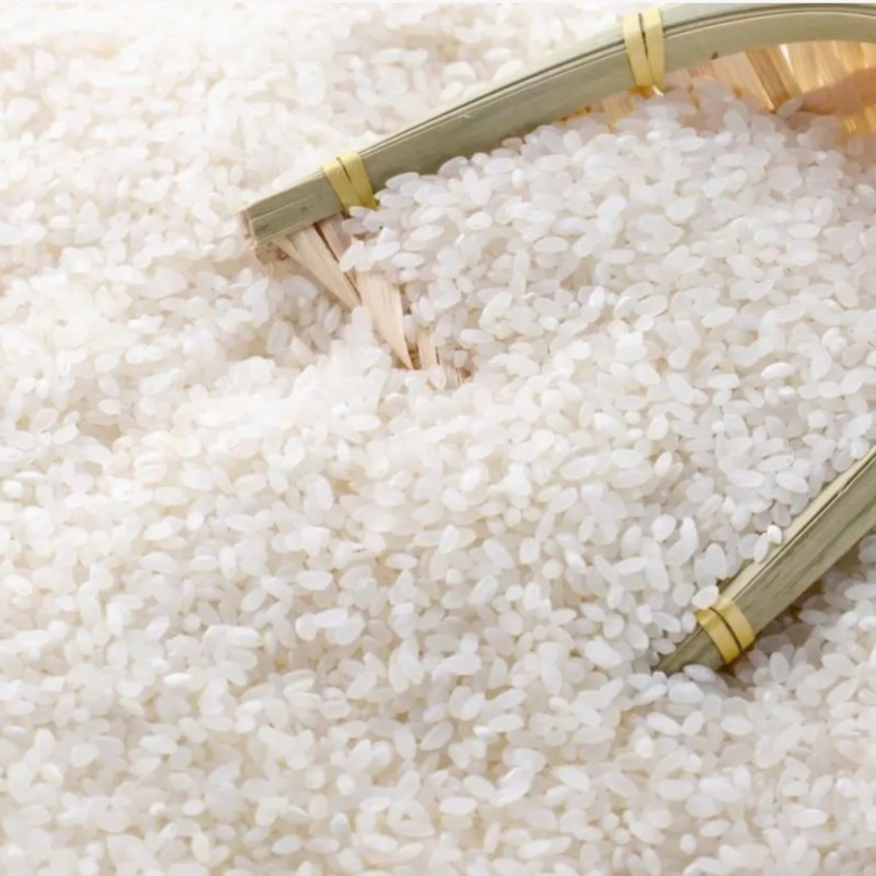 猫牙 到手一包700g 有问题联系客服   短袜商家补贴