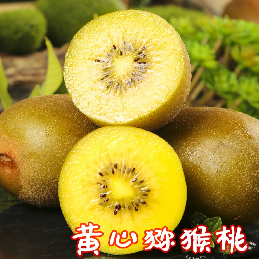 自家种植黄心猕猴桃