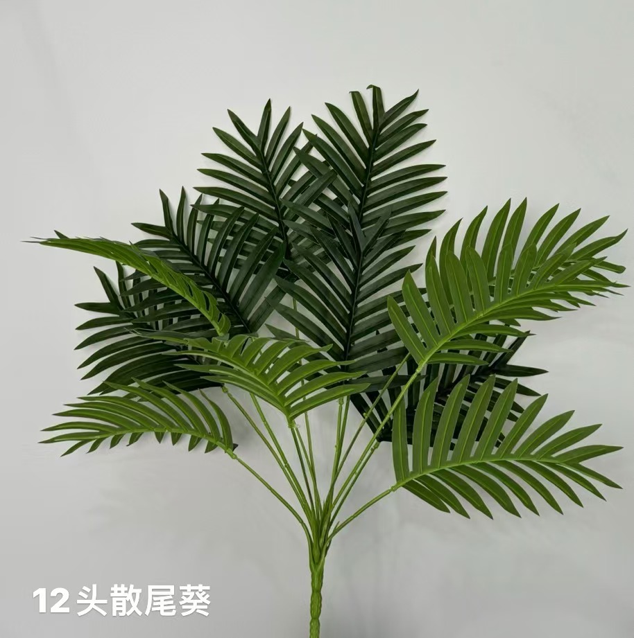 12头散尾葵10支起拍包邮适用于花艺使用