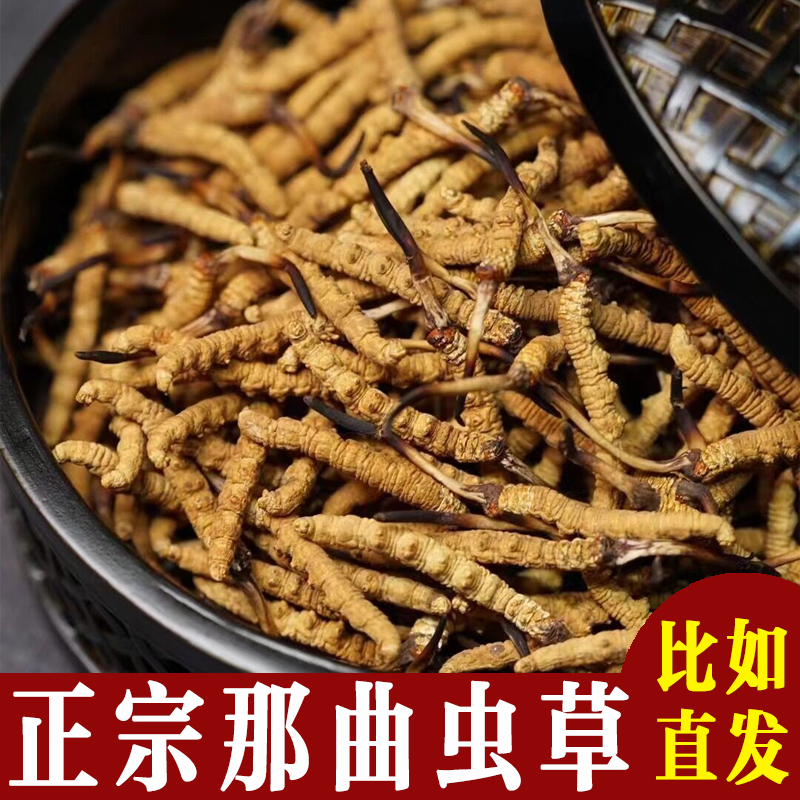 西藏那曲天然野生冬虫夏草0.5g/根精选2025头期虫草滋补 比如直发
