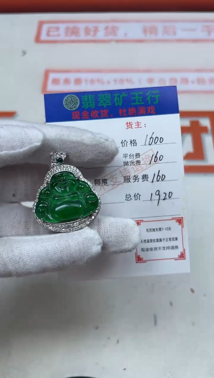 【闪购商品】翡翠颈饰银S925镶嵌净货多样性