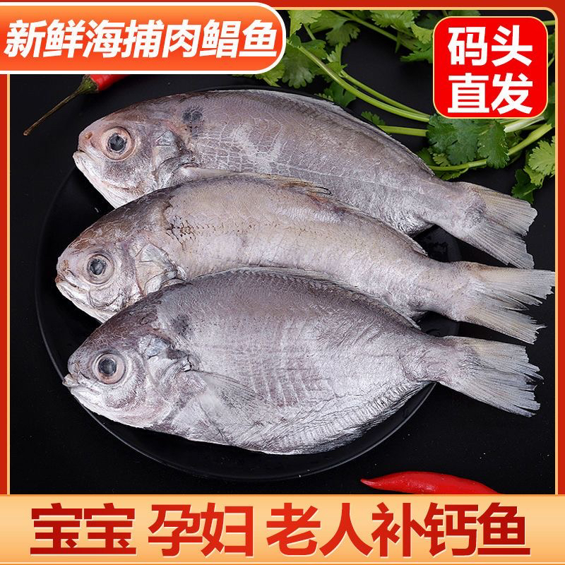 【4斤新鲜肉鲳】广东特产肉鲳鱼