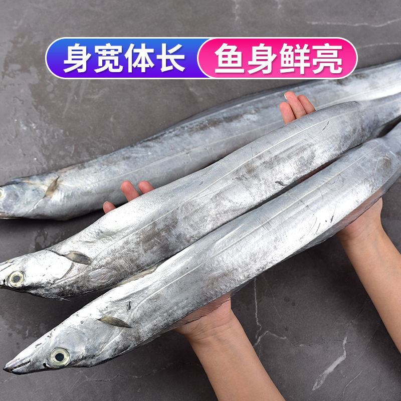 【4斤特大带鱼有2-4条净重4斤】广东新鲜大条带鱼海捕大白刀鱼带鱼