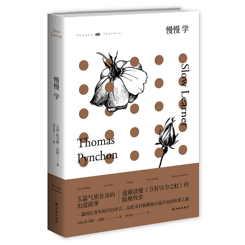 慢慢学（一代大师亲自解析自己小说的谜团）（品钦作品）