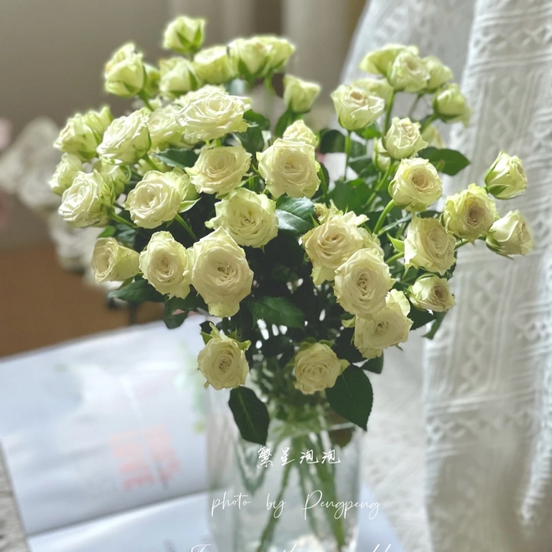 繁星泡泡10枝（多头玫瑰）