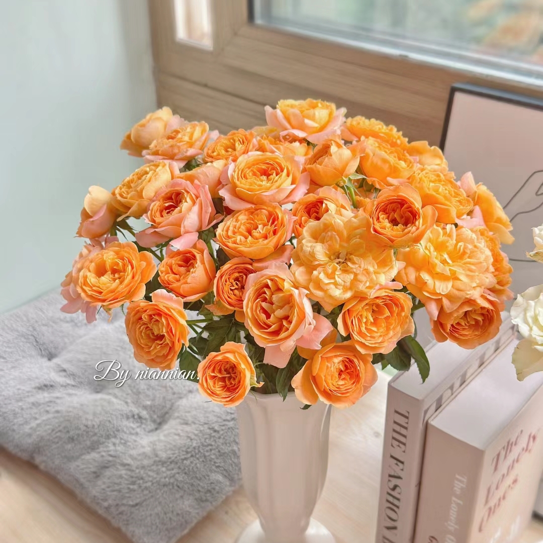 果汁阳台单多头混装玫瑰10枝，昆明斗南顺丰直发