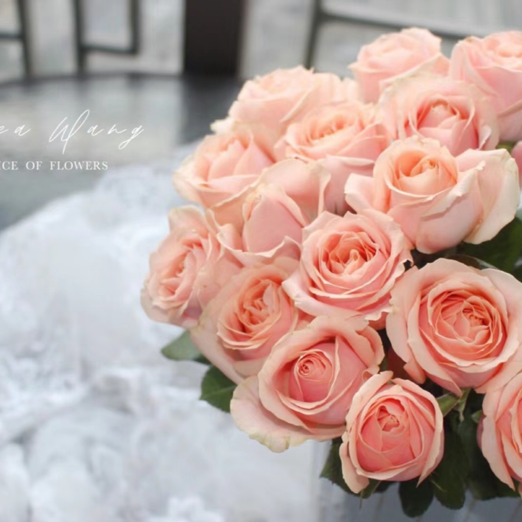 珍珠雪山20枝，单头玫瑰