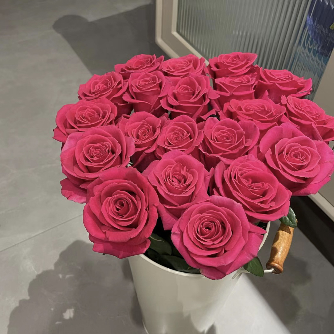 弗洛伊德10支+莫泊10枝，单头玫瑰 