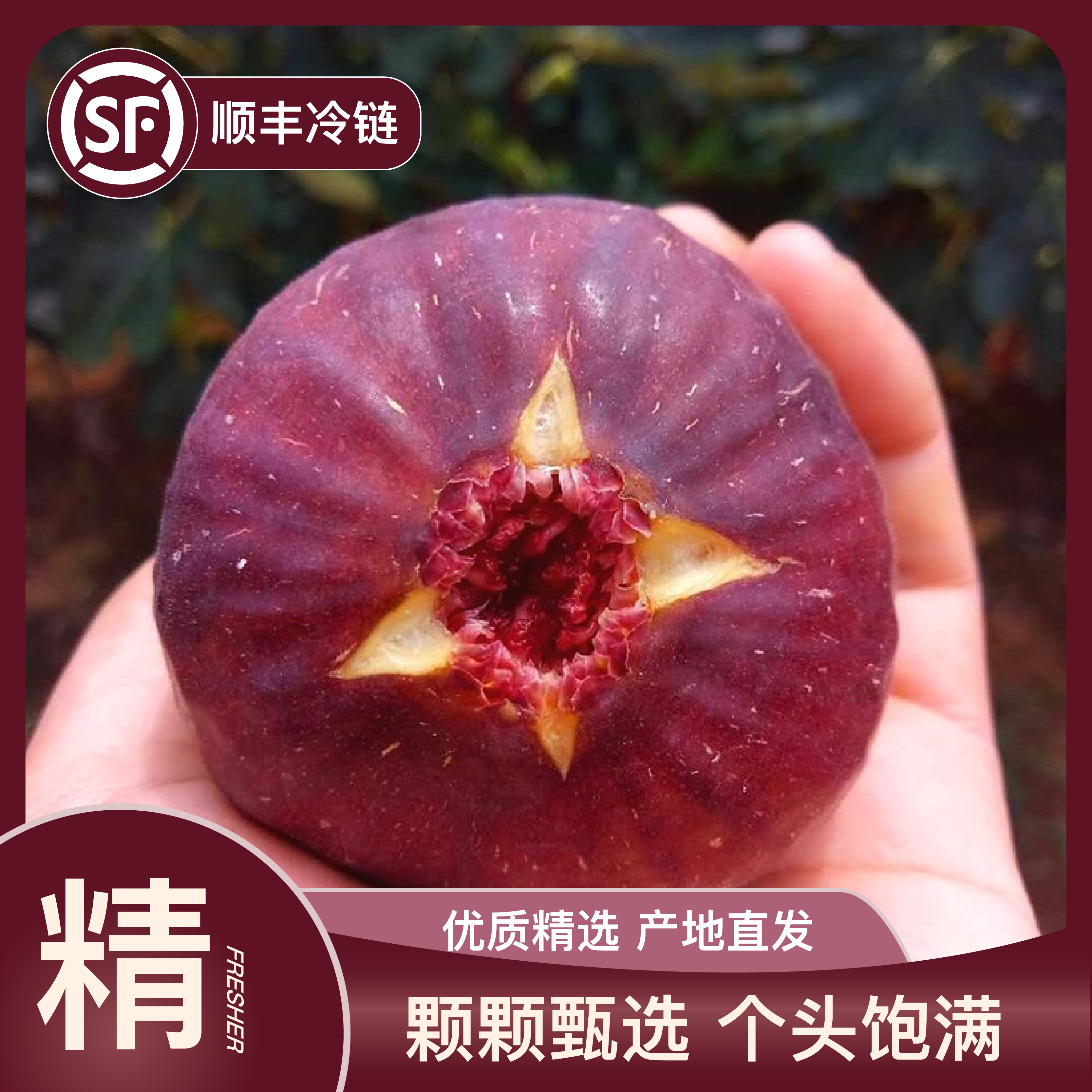 【顺丰现货|红皮无花果】四川红皮无花果水果老树无花果鲜果熟度高