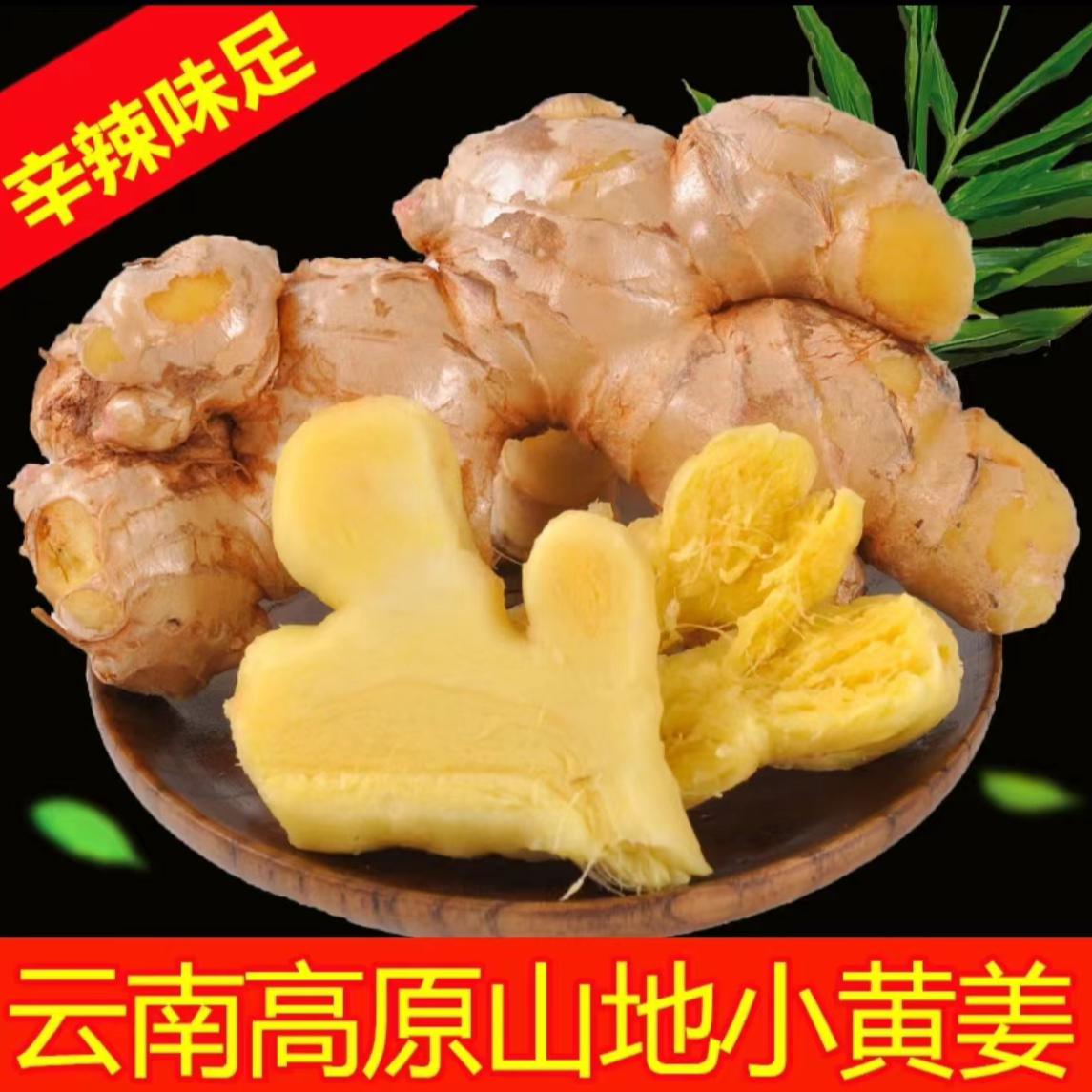 正宗云南小黄姜嫩姜农家高山种植辛辣仔姜带泥发货姜味浓郁坏包赔