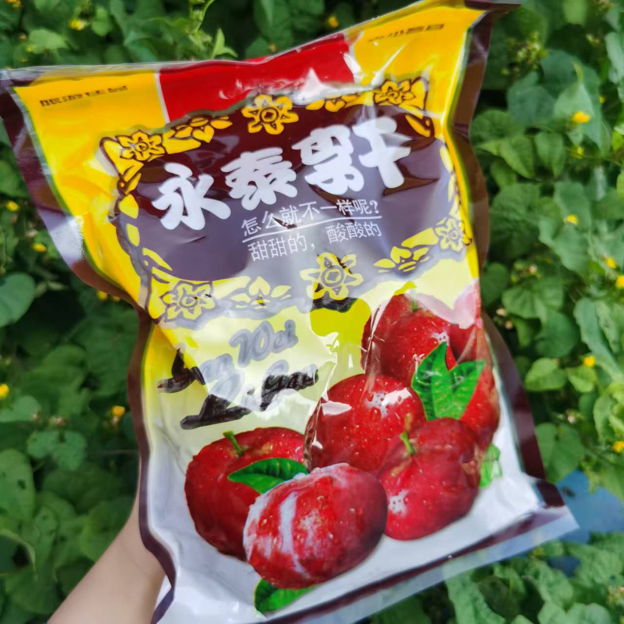 永泰李干500g/包