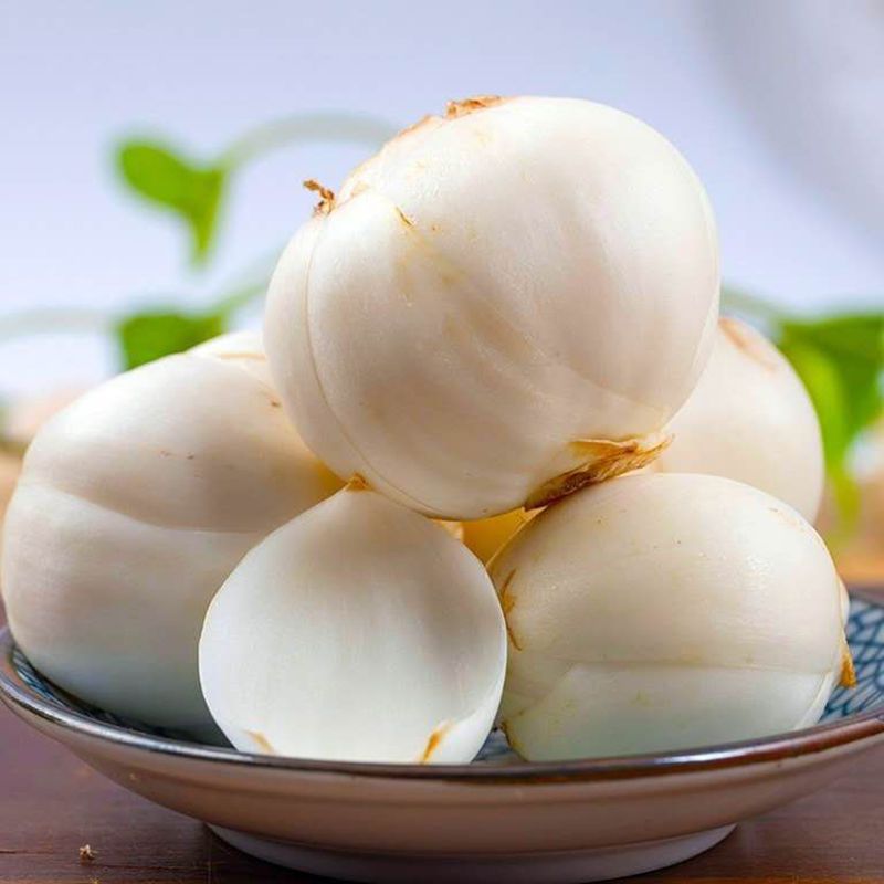 正宗兰州新鲜甜百合真空包装鲜百合非百合干自产自销1-5斤装
