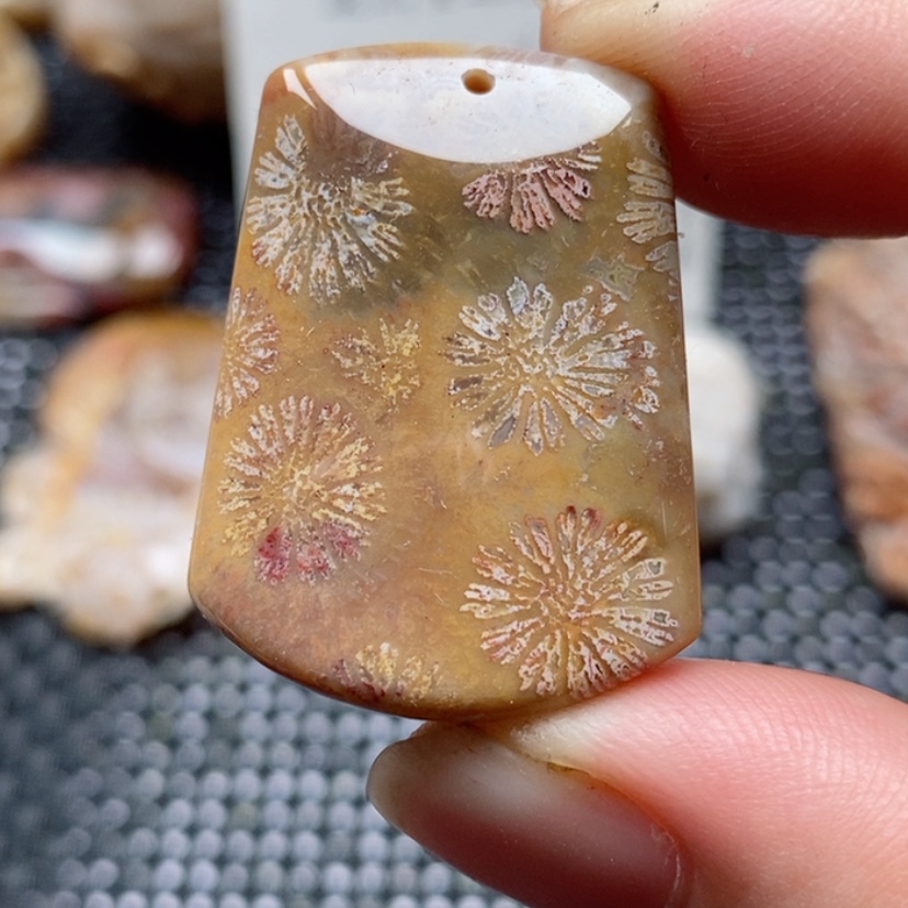 【闪购商品】硅化珊瑚（珊瑚玉）颈饰未镶嵌