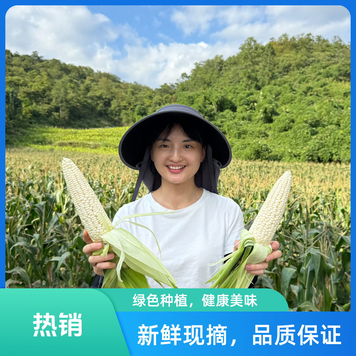 重庆正宗【武陵山】928甜糯玉米/高海拔玉米/5斤/9斤装京东快递包邮