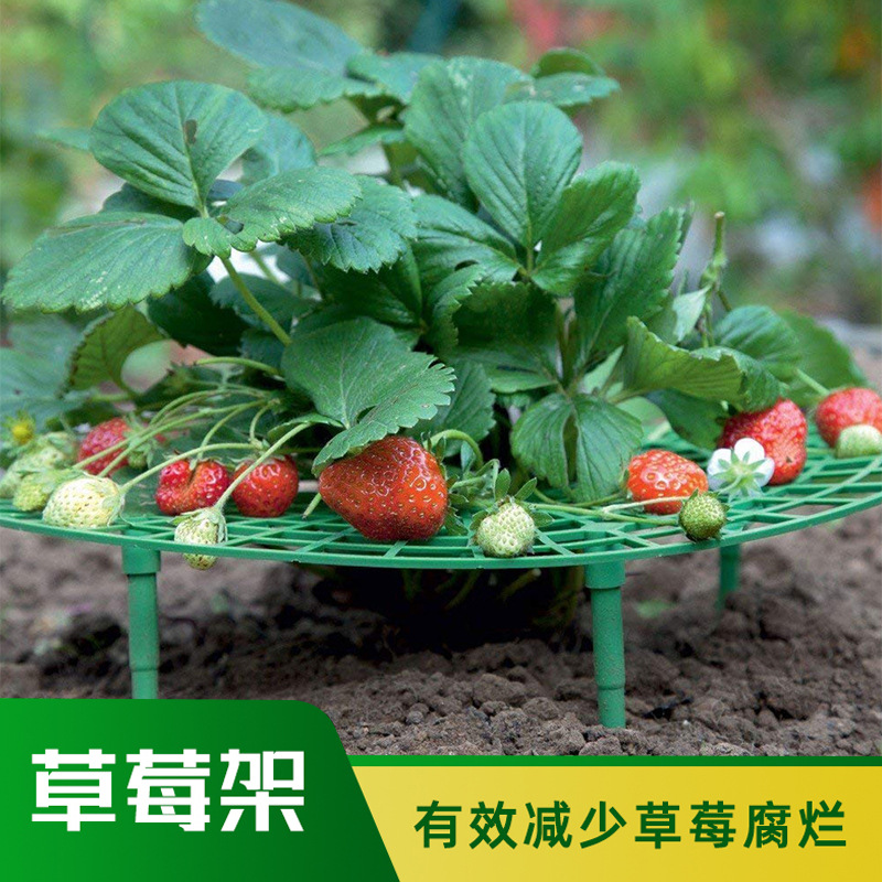 郁先生草莓架阳台盆栽果实支撑架多层家用立体架子园艺支架