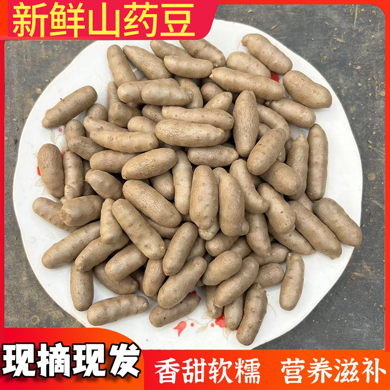 新鲜铁棍山药豆糖葫芦专用软糯好吃营养种植产地健康搭配五斤装