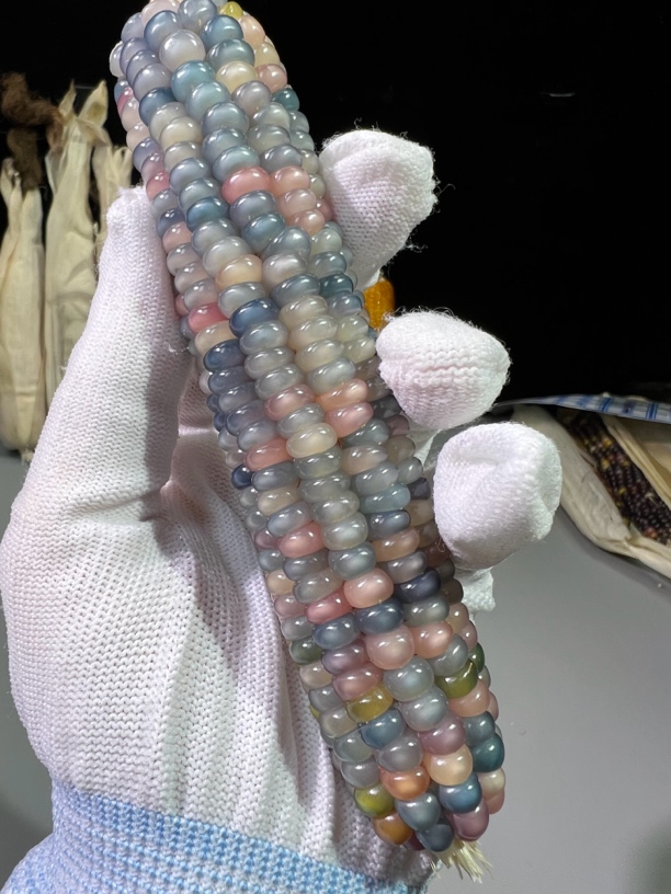 文玩玉米直播间商品一物一拍