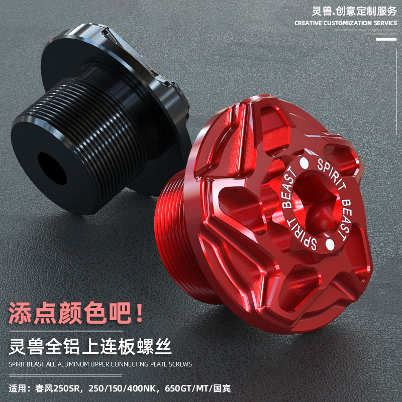 250SR上联板螺丝灵兽改装适用650GT三星连板大螺母700CL-X