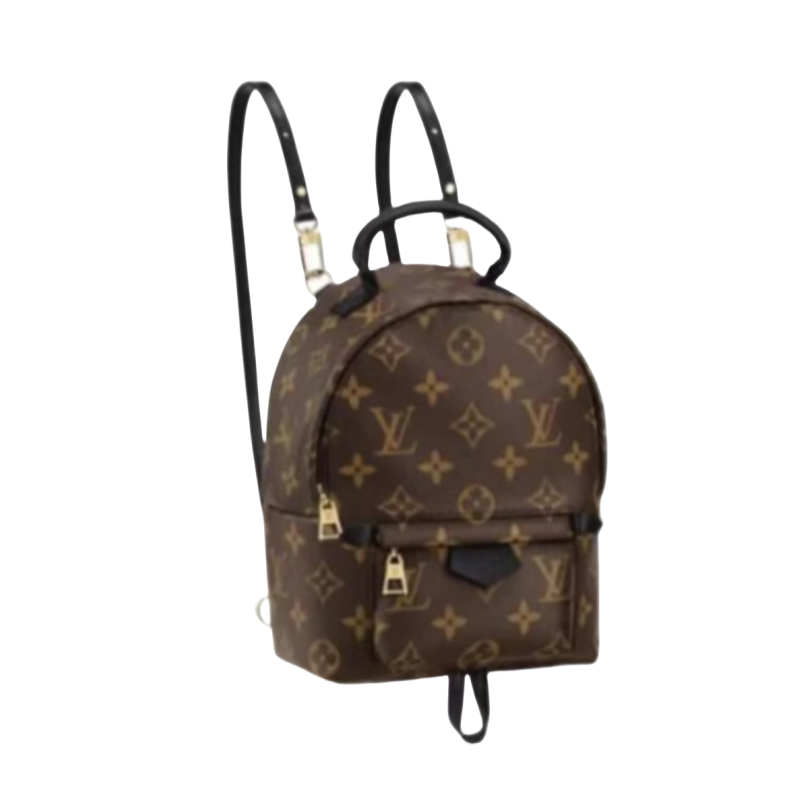 99新 LouisVuitton/路易威登 SPrings老版本迷你双肩包