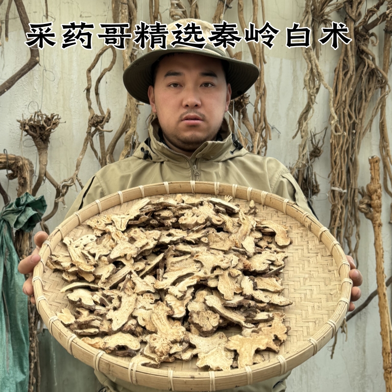 甘肃西秦岭高海拔野外采挖老白术新货500克包邮