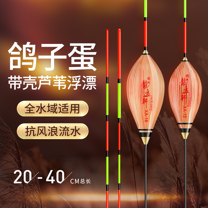 龙逸轩鸽子蛋浮漂20公分40公分带壳芦苇行程漂高灵敏黑坑浅水短漂