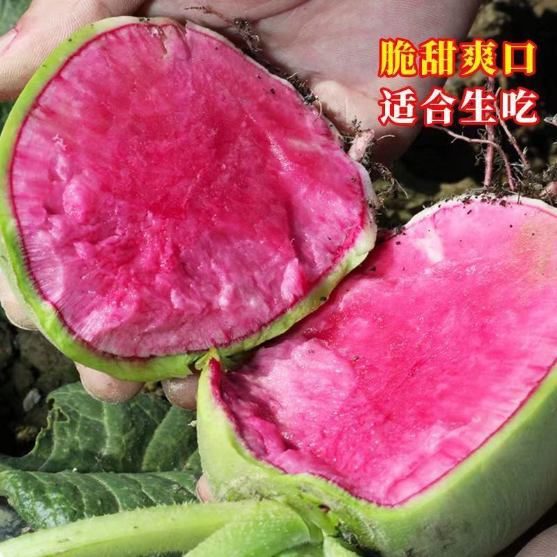 新鲜心里美萝卜绿皮红心水果萝卜红心萝卜绿皮红心萝卜