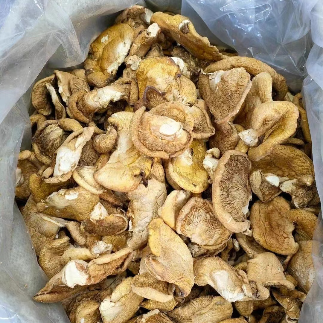 东北依兰 元蘑 鲜美支持试吃50g