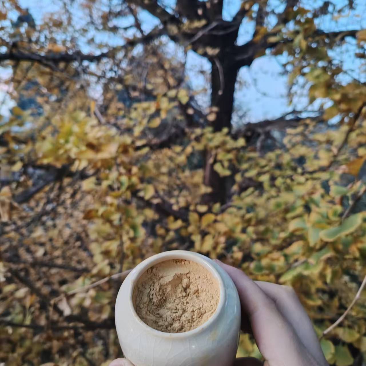 1【缅-金-粉】净含量：20-200g【小田现收】