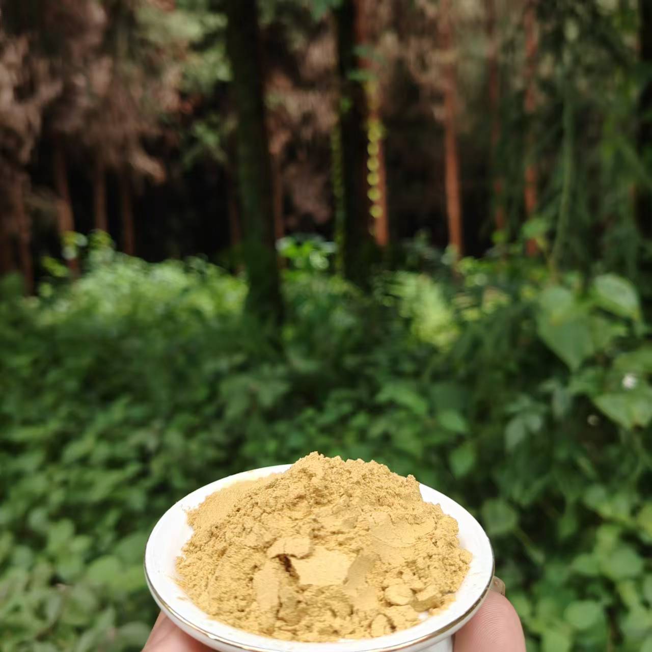 1【缅-金-粉】净含量：20-200g【小田现收】