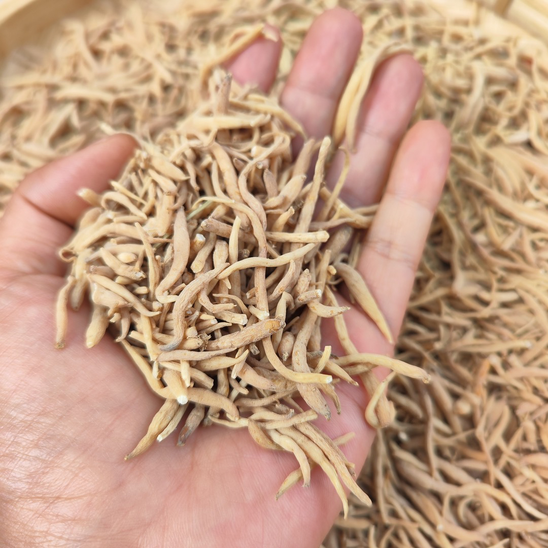 [呔子参]净含量250g/500g