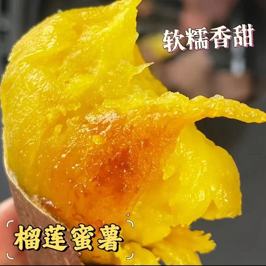 【烤薯专用】榴莲蜜薯玛莎莉红薯 丝滑黄心蜜薯番薯烤地瓜流糖超甜