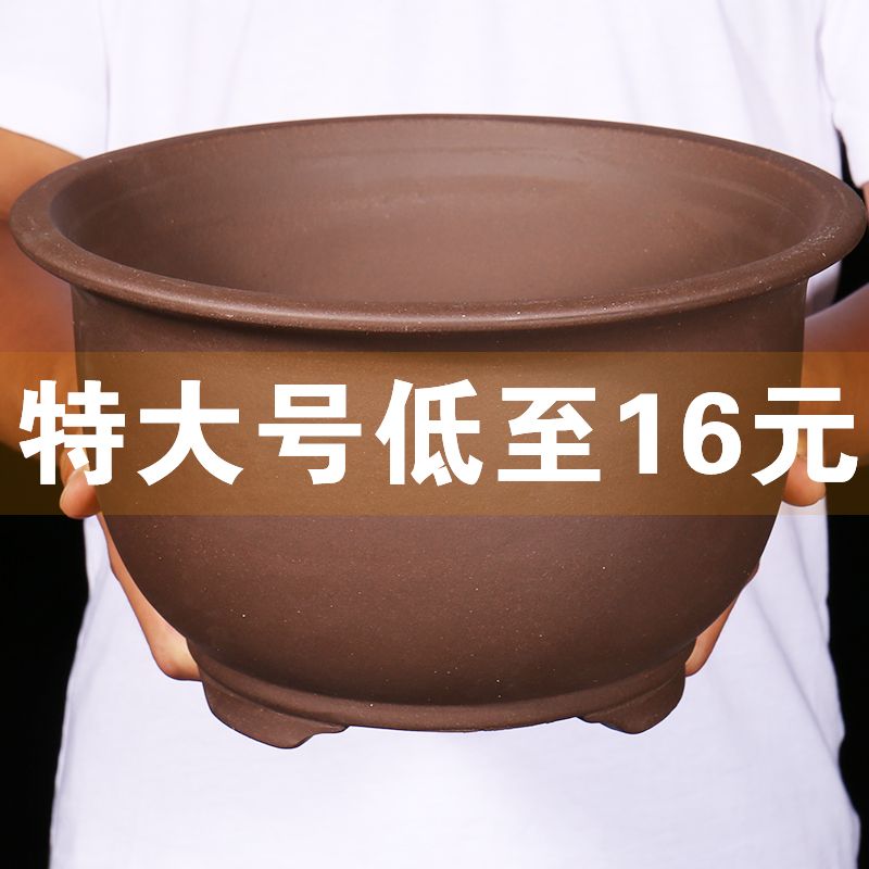 紫砂花盆大口径种树花盆阳台种树盆情绪稳定陶瓷绿萝花盆